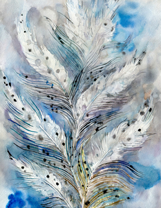 Snowy Owl Feathers