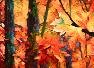 Colorful Fall Leaves in the Forest - 6