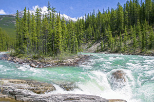 Our Glorious Alberta