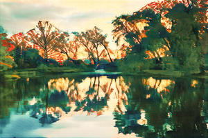 Sunrise Over the Trees