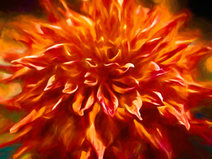 Dahlias are the Best