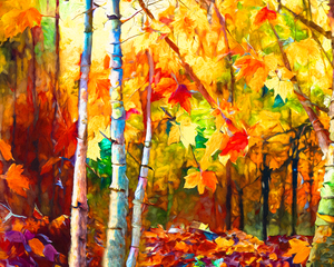 Colorful Fall Leaves in the Forest - 2