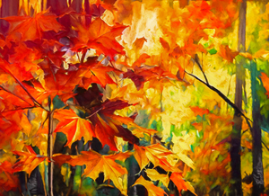 Colorful Fall Leaves in the Forest - 5