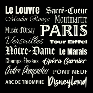 Memoir Banner of Paris