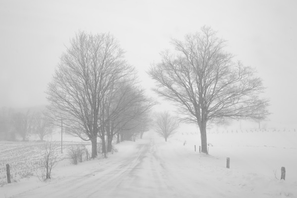 Stick to the Middle of the Road Digital Download