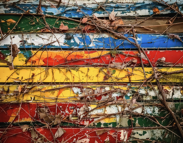Where We Check Our Paint Colours by Thea Menagh