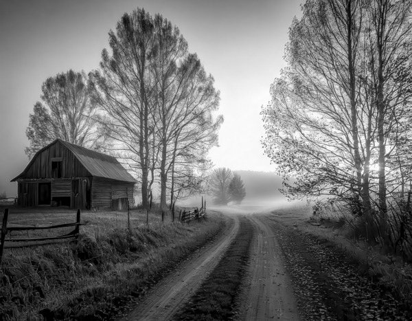 Barn by the Rural Road by Thea Menagh
