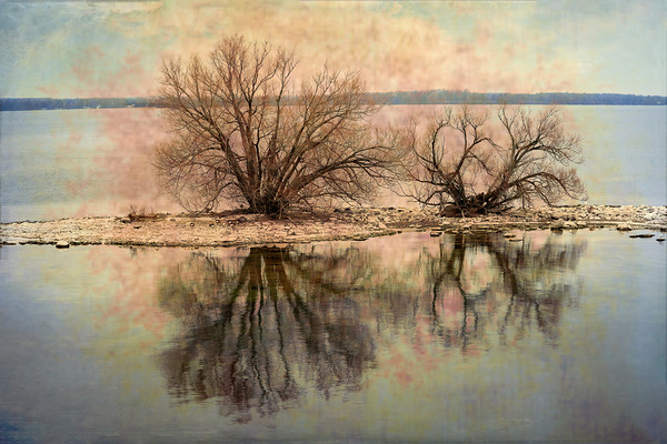 A Vision in Lake Ontario Digital Download