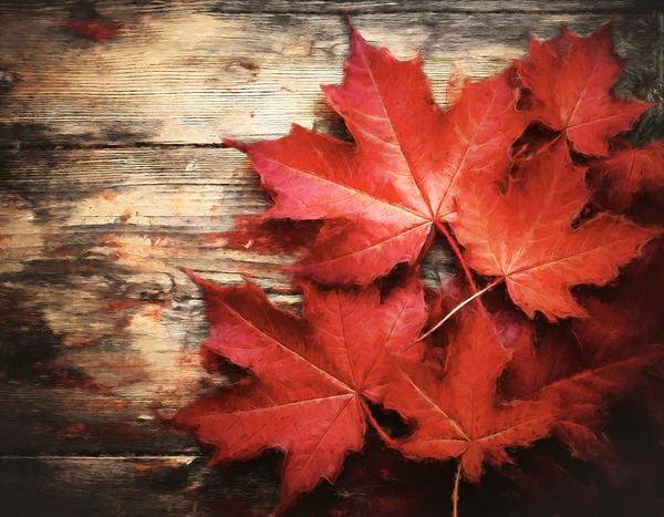 Proud to Be a Canadian Digital Download