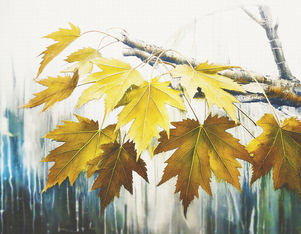 Leaves Almost Gone Print
