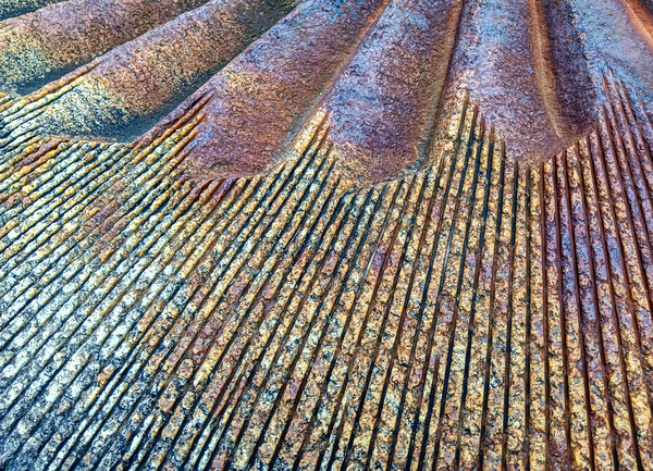 PORT CREDIT - GRIST MILL GRINDING STONE Print