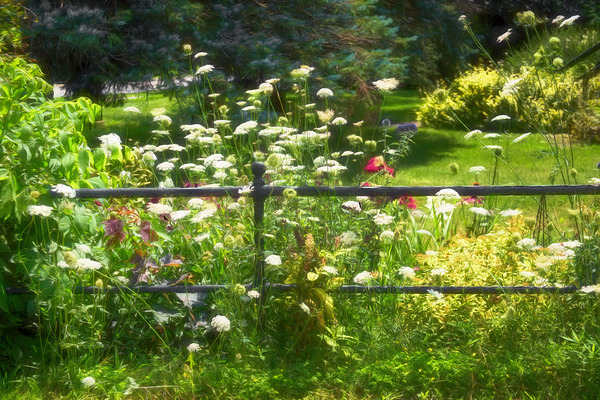 Vintage Iron Fencing Digital Download