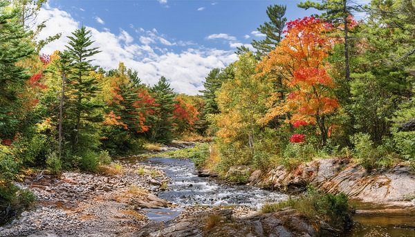 Muskoka colours keep changing by Thea Menagh