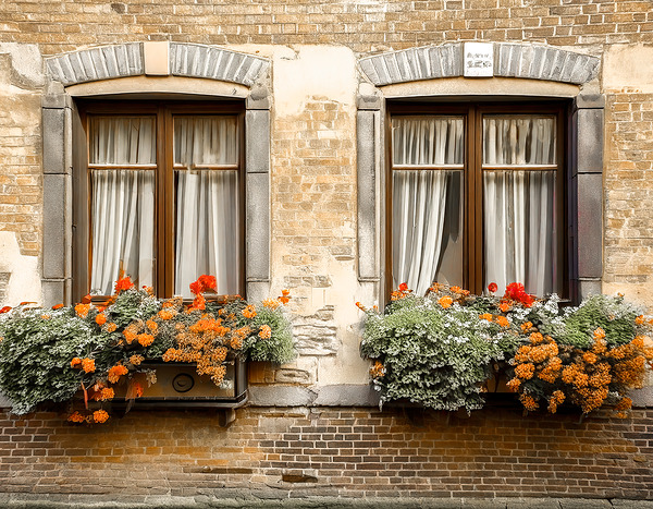Parisian Windows Digital Download