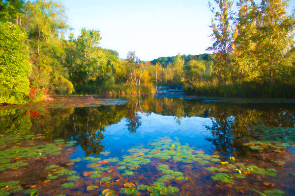 LILY POND AT THE BRICKWORKS Print