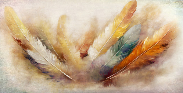 Feather Greetings Digital Download