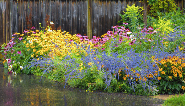 Collingwood Garden in the Rain Print