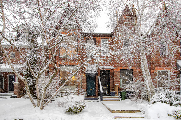 Soft Snowfall in Toronto Digital Download