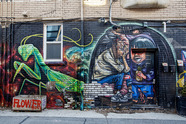 Brick Wall Enhancements by Thea Menagh