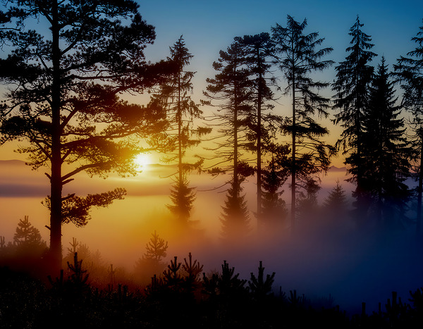 SUNRISE OVER A MISTY LAKE Print