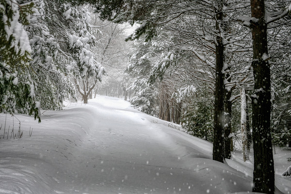 Your Turn to Shovel the Driveway Digital Download