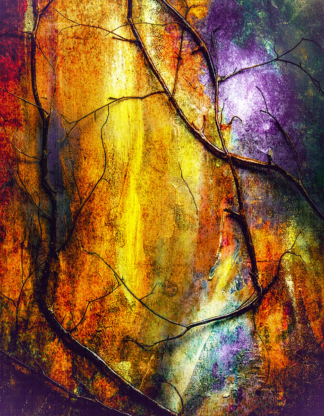 Twists and Turns On Abstract Print