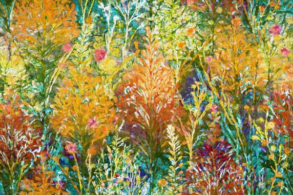 Midsummer Meadow Print