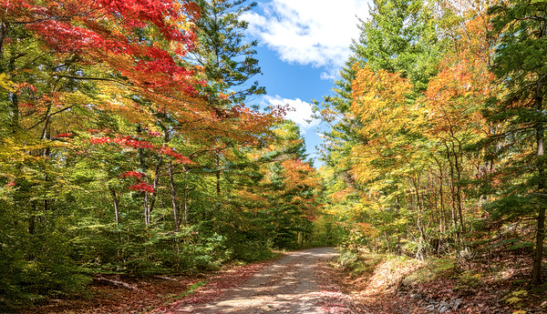 NORTHERN ONTARIO IN THE FALL Digital Download