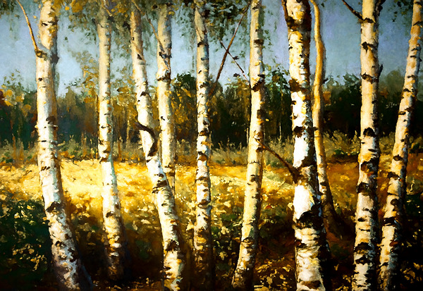 Birch Tree Teens Téléchargement Numérique