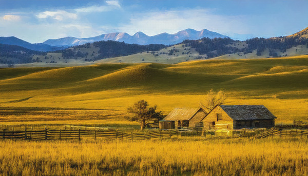 MONTANA VALLEY AND FOOTHILLS GRASSLANDS Print