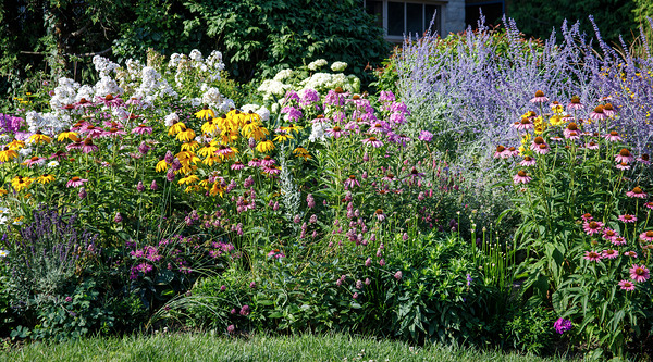 One of My favourite gardens Print
