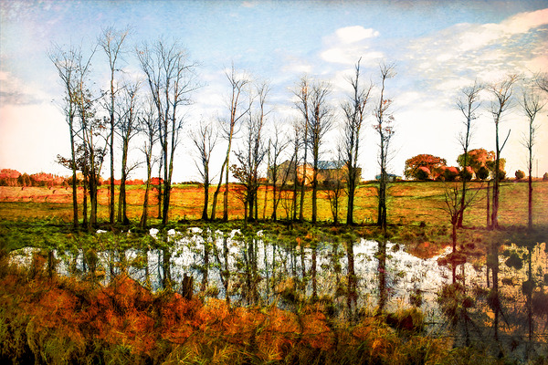 Fall Colours On the Farm by Thea Menagh