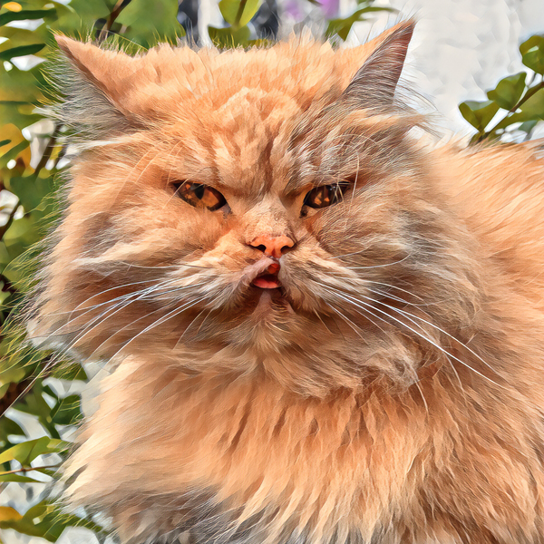 Just Look at that Face Print