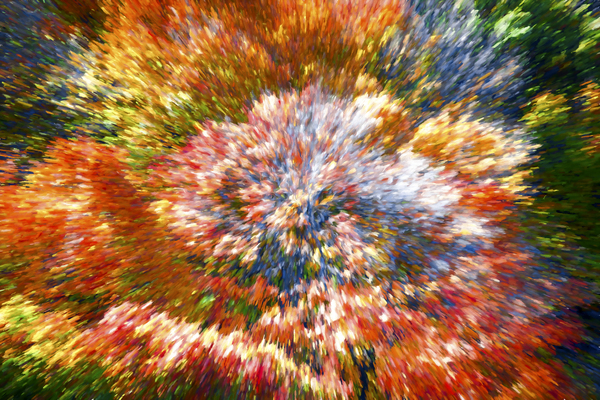 Explosion of Color Print