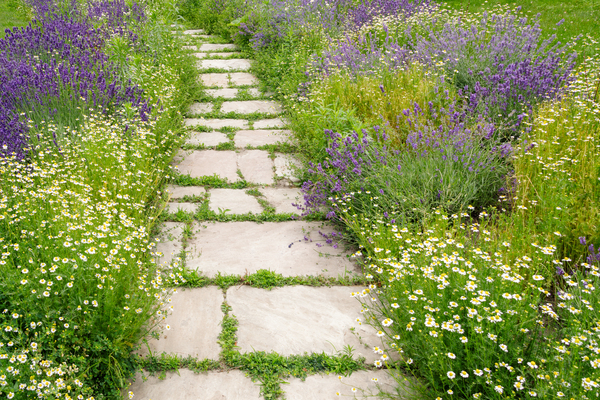 WOW What a Welcome Print