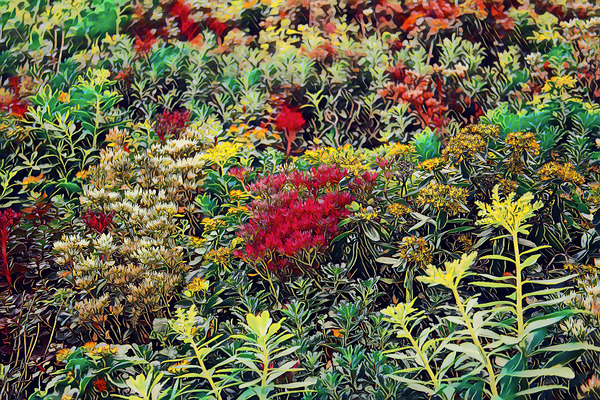 Ground Cover Up the Wall  Print