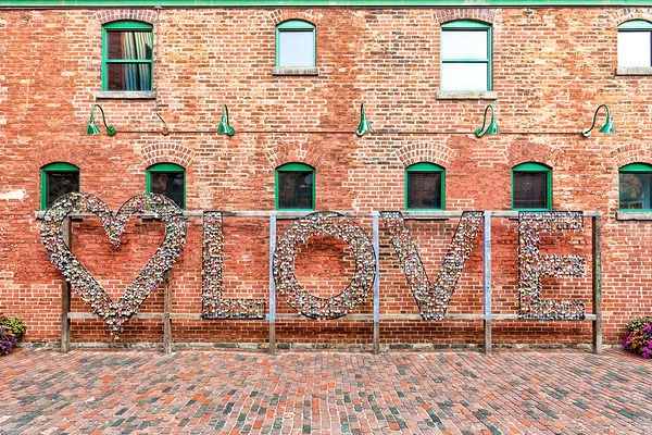 Focus on Love by Thea Menagh