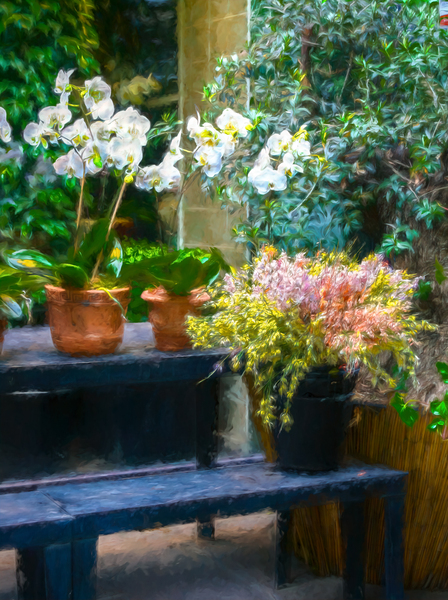 Blooms on a Blue Bench by Thea Menagh