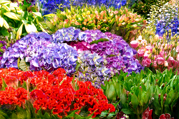 Flowers in Bunches by Thea Menagh