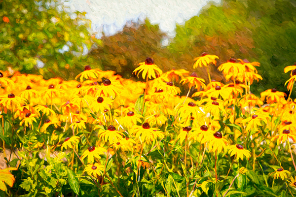 Cheerful Curb Appeal Print