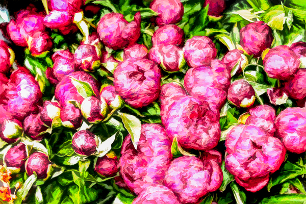 Peonies in an Amsterdam Market Print