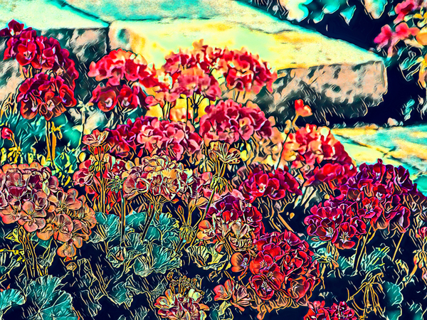 Geraniums Along the Front Steps Digital Download