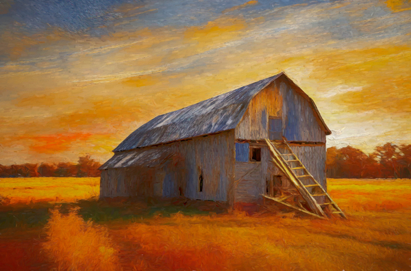 Abandoned Barn by Thea Menagh