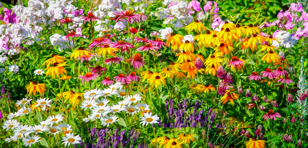 Colorful Assembly Digital Download