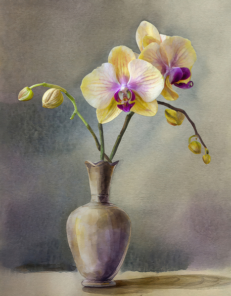 Orchids in a Vase by Thea Menagh