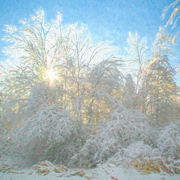 After the Ice Storm Print