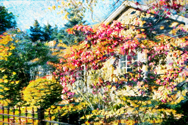 Cabbagetown House and Garden Print