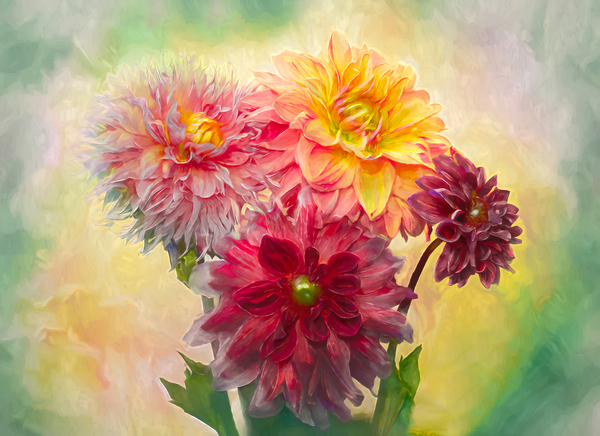 Painted Dahlias are Forever by Thea Menagh