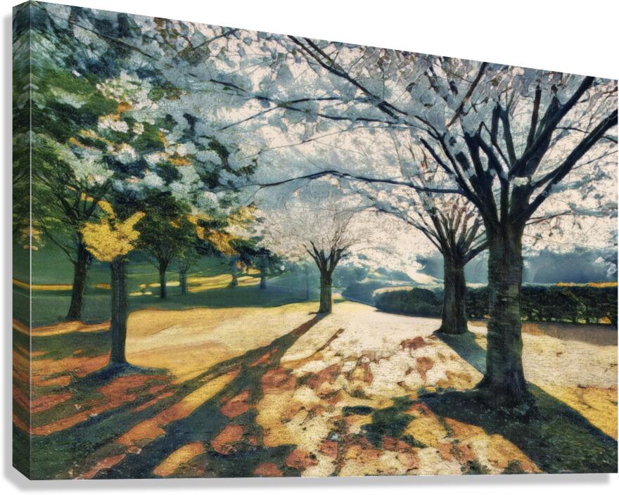 Spring in High Park Toronto Canvas Print