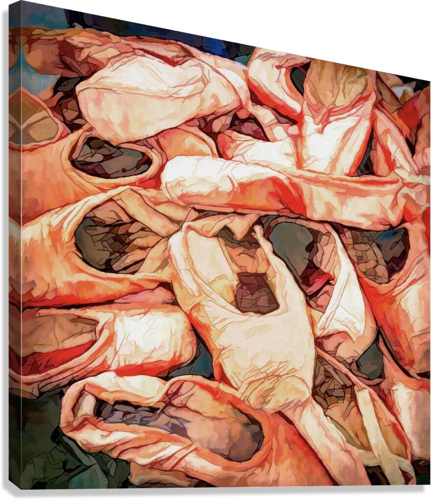 After the Ballet Performance Canvas Print